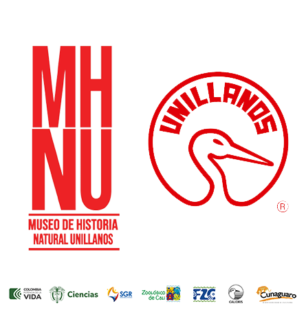 logos