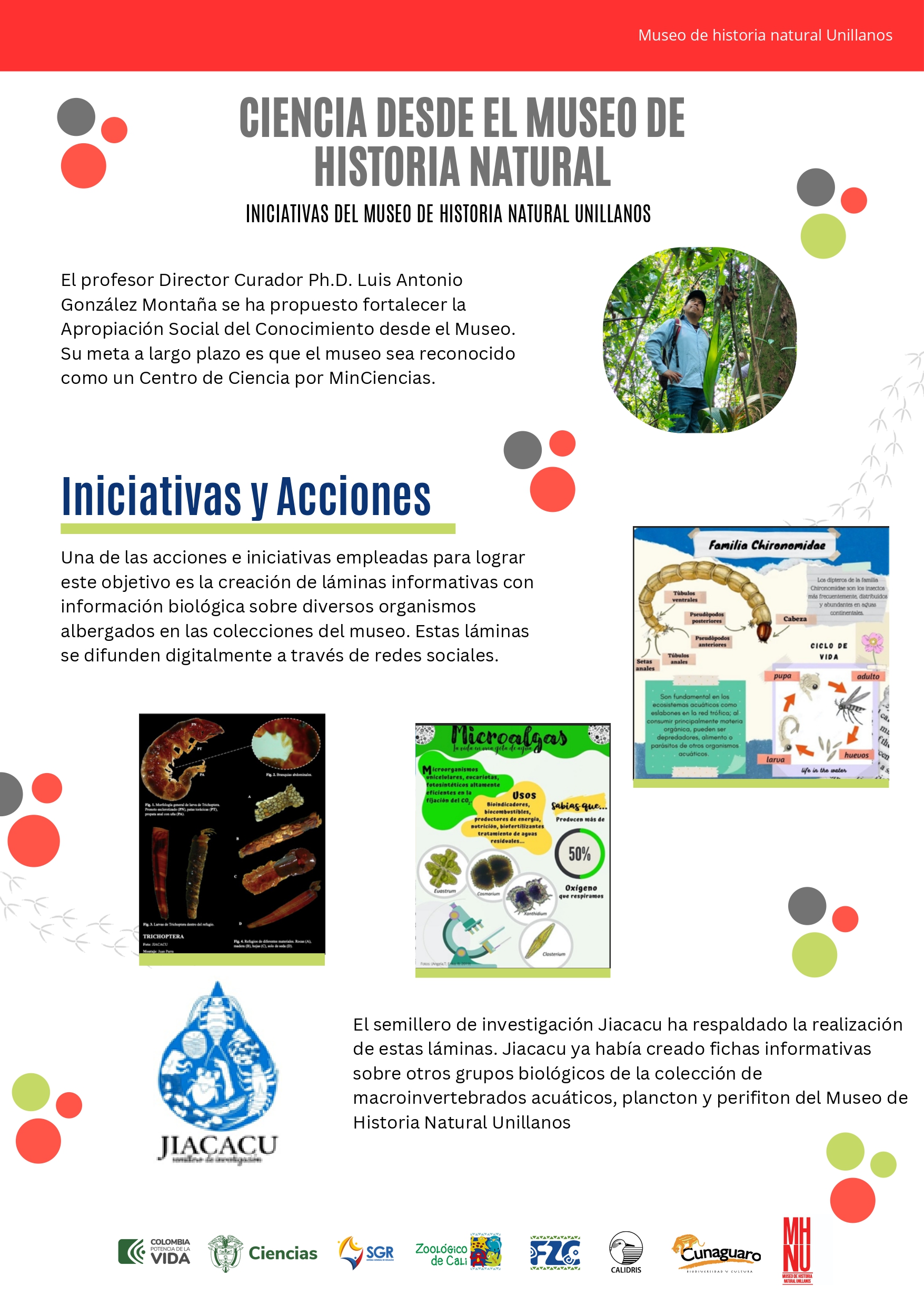 Infografia 2