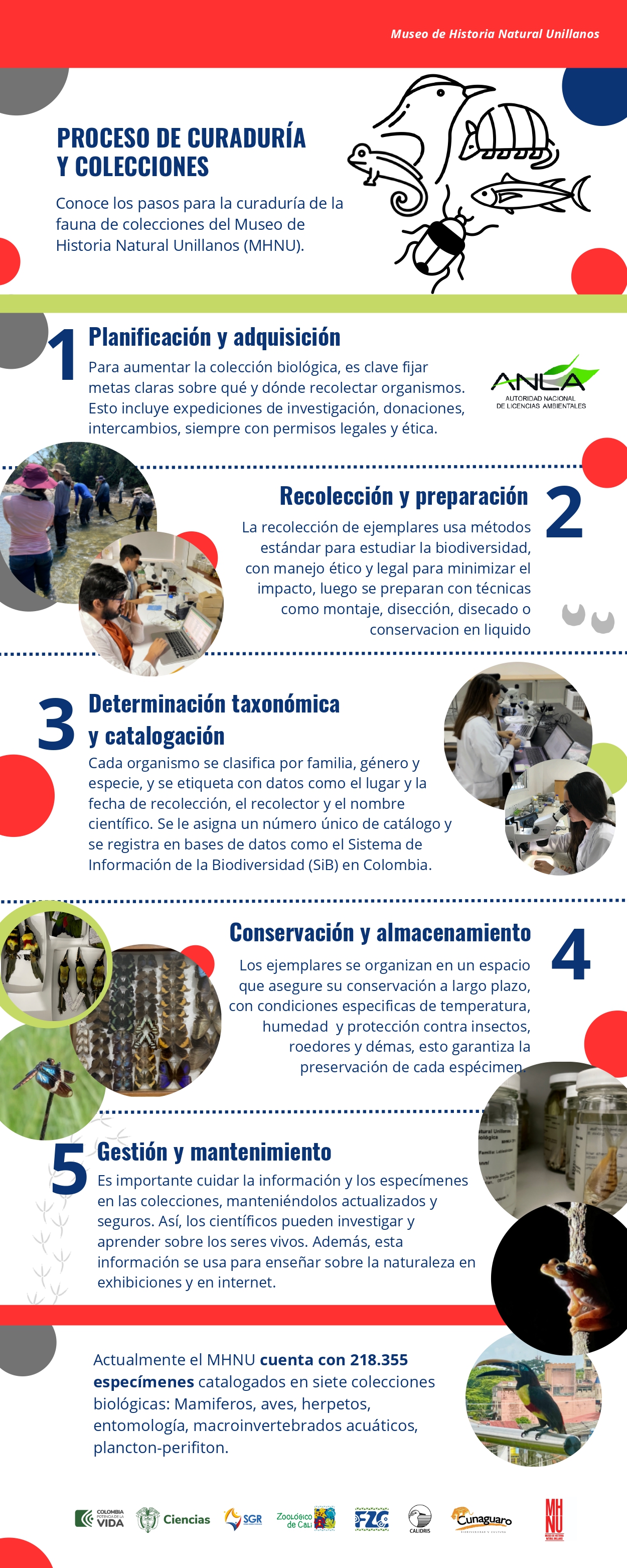 Infografia 3