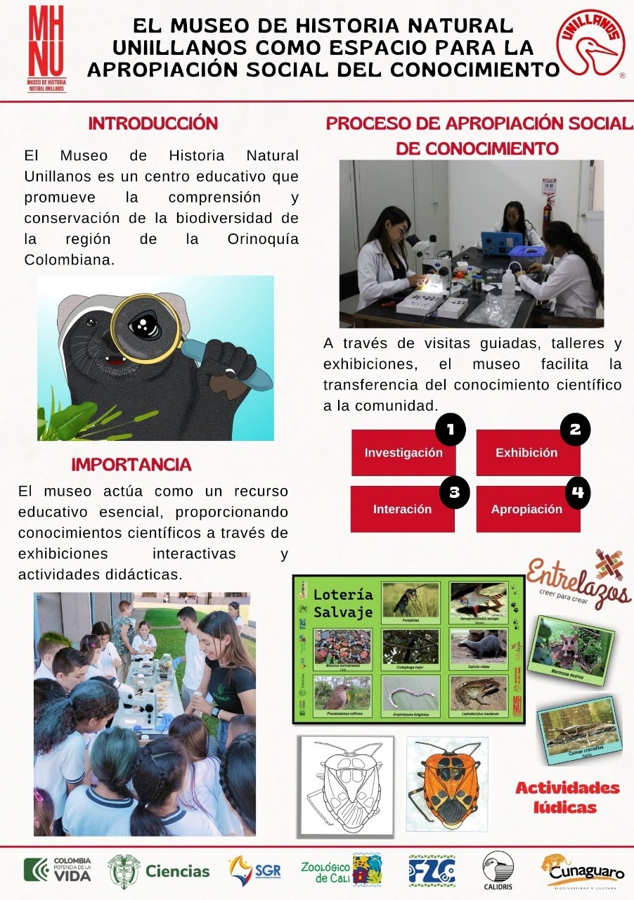 Infografia 1